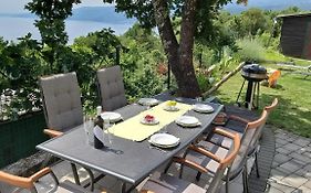 Apartments Turan